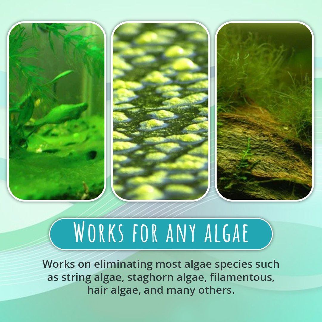 NEW Algae Repellent Agent
